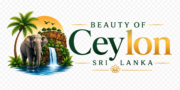 beautyofceylon.com